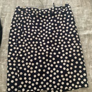 JCREW The Pencil Skirt